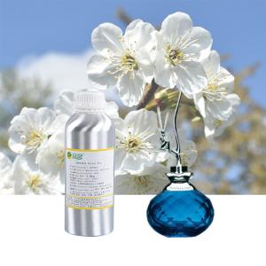Quality Fragrance Oils For Branded Perfume Oil Designer Perfume Oil wholesale