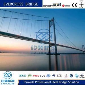 Quality Good Seismic Railway Steel Wire Suspension Bridge With Three Span wholesale
