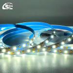 Double Colors LED Light Strips SMD 2835 120D 8mm 1200-1600LM 2700K-6500K