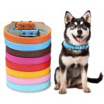 Brown Yellow Purple Pink Leather Dog Collar Personalized Leather Breakaway Cat