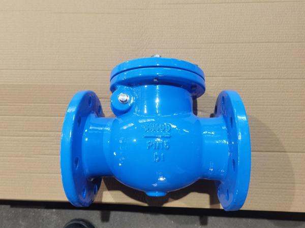 Swing Cast Iron Check Valve DIN3302-F6 / BS5153 / ANSI B16.10 / JIS B2002 DN50 -