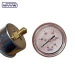 Bellows Pressure Gauge 60mm Inch2o Black Steel Case Axial Mbar Pressure Gauge