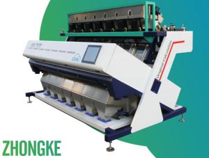 Quality Automatic Cashew Nut CCD Color Sorter Machine Intelligent Dehydrated Onion wholesale