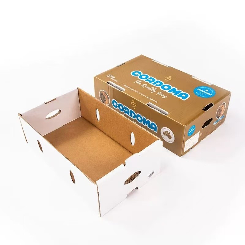 Plastic Turnover Box PP Corrugated Sheet Hollow fruits Moving Container