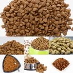 Automation Double Screw Animal Feed Extruder for Pet Food Fish Feed Industry