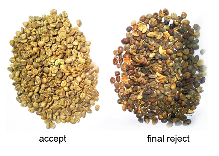 High Sorting Accuracy White Bean Color Sorter Sorting Machine For Bean Separating