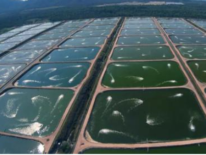 2m-8m Width HDPE Geomembrane Sheet The Best Solution for Biofloc Fish Farm Building