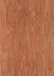 Sliced Natural Bintangor Wood Veneer Sheet