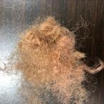 Brown HS hollow siliconized polyester staple fiber for filling sofa