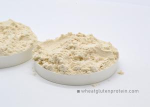 Quality Baking Foods 8002-80-0 Vital Wheat Gluten wholesale