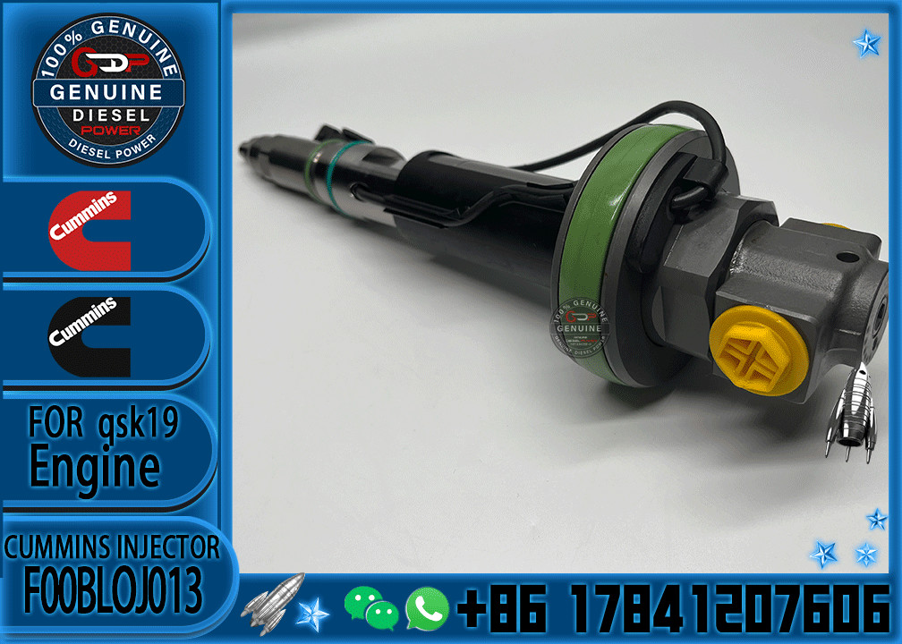 Common Rail Engine Accessories Diesel Injector 4964172 FOOBLOJ013 F00BLOJ013 FOR QSK38/50