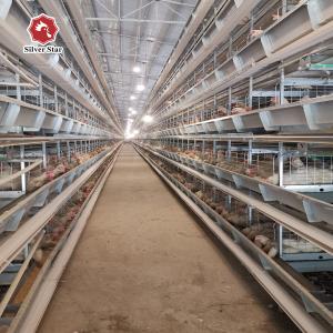 Quality Stainless Steel Layer Poultry Farm Cage H type 54 birds / set wholesale