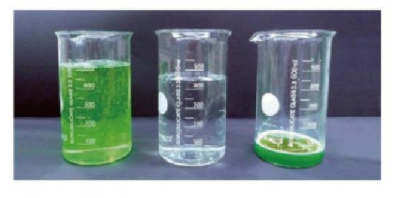 Low Temperature Industrial Wastewater Evaporator Equipment Reduction Vacuum Distillation Treatment