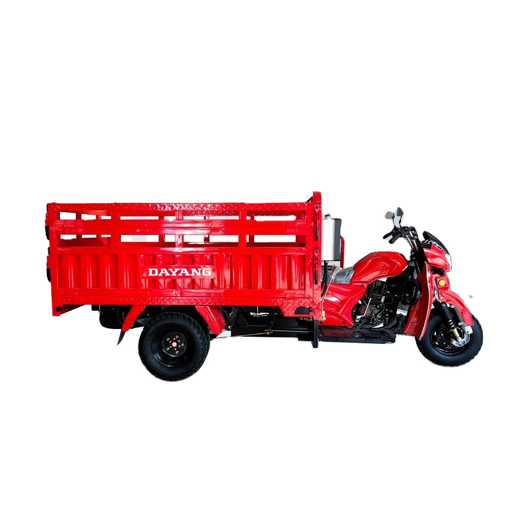 300cc Water Cooled Gasoline Engine Cargo Tricycle with Customized Motor from DAYANG