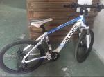 Western Style 36v 250 Watt Electric Powered Mountain Bike