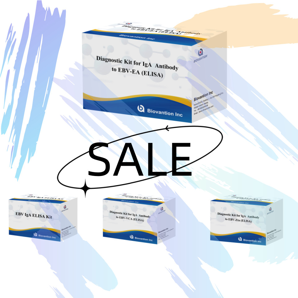 2-8℃ Sensitivity Diagnostic Kit For IgA Antibody To EBV-EA ELISA Test Kit