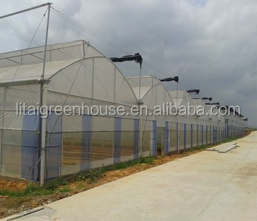 Film Covered Galvanized Greenhouse for Stable Structure and Vegetable Cultivation