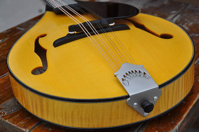 Factory custom Handmade custom advanced 8 strings mandolin electric guitar with ebony fretboard