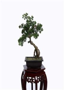 Quality Premium Foliage Fake Bonsai Tree Plastic Leaf Vibrant Color Tropical Landscapes wholesale