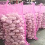 5.5cm Normal White Natural Fresh Garlic Reducing Bacteria