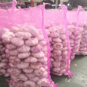 Quality Pure White 20kg 6.0cm Orgin Jinxiang Fresh Garlic wholesale