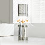 Modern 2 Slots Toothbrush Holder Stand With Tooth Brush Cups Cover