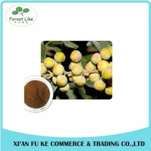 Quality 100% Natural Chaste Tree / Fructus Viticis Extract Powder wholesale