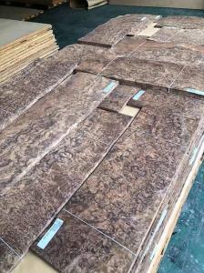 Quality MDF Exotic Wood Veneer 0.45mm Crown Teak Veneer USA Walnut A Level wholesale