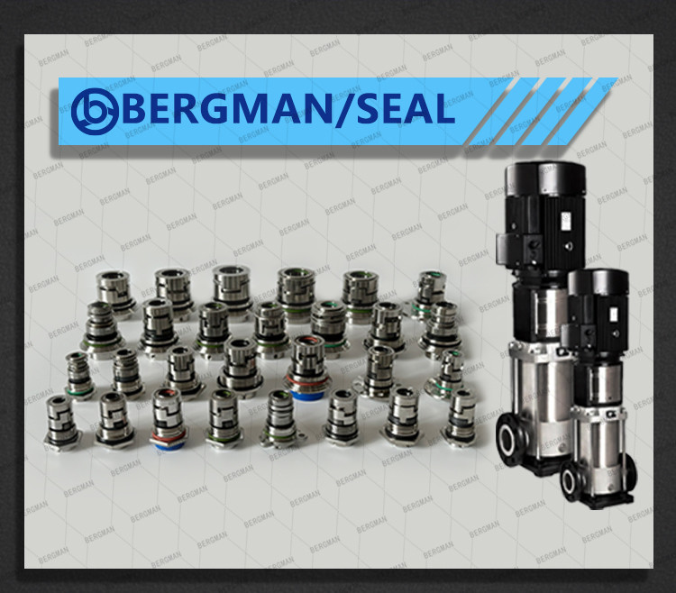 BERGMAN Replace Grundfos GLF-43mm Sewage Pump Mechanical Seal Cartridge seal 98119099