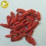 Chinese Goji Berry Dried Fruit Goji Berries/Goji Berry goji certified organic