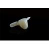 Buy cheap Custom available Dental Resin-bonded Maryland bridge from Shenzhen ADS dental from wholesalers