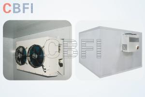 Quality Walk In Cold Storage Blast Chiller Freezer With Color Steel , Stainless Steel Panels wholesale
