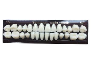 Quality Material Dental Acrylic Resin Teeth Tooth Colored Acrylic Resin Teeth For Dentures wholesale