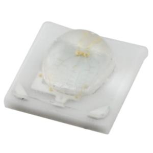 Quality ELSW-E71B1-0GPNM-CB7B8 wholesale