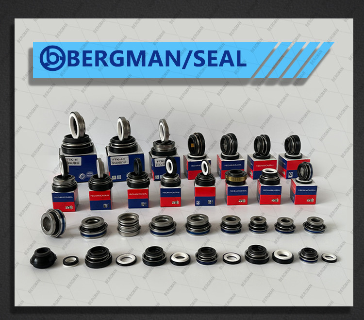 BERGMAN FT-12 16 20 25 30mm Water Pump Water Seal Mechanical Seal