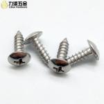 Stainless steel cross large flat head tapping screws umbrella head tapping