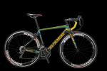 High grade OEM customized logo 30 speed carbon fiber mountain bike for travel