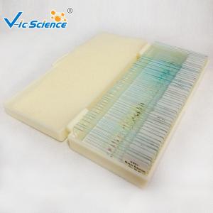 Quality Specimen Biological 50pcs Microscope Glass Slides Set wholesale