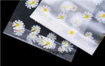 0.06mm Transparent LDPE Plastic Drawstring Bags