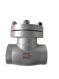 Quality PN1.6-6.4 Pressure Cryogenic Check Valve DN10-100mm wholesale