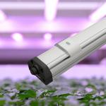 Samsung Beads Cucumber T8 Grow Light Tubes Waterproof 60w Led Grow Light