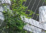 AISI316 2.5mm Steel Wire Netting For Climbing Plants Corrosion Proof