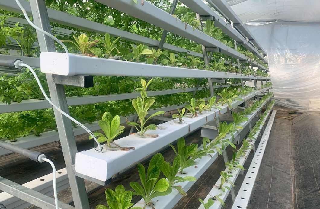 Humidity-Controlled Planting Facility by Juxiang