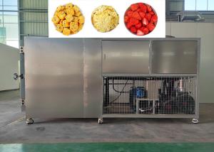Quality Vacuum Industrial Freeze Dryer 18-24 Hours Drying Time wholesale