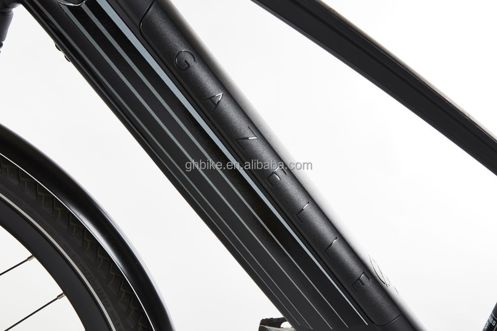 Bafang Central Motor 25KM/H 8.8AH Lithium Battery OEM CE Electric City Cargo Bicycle