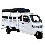 Custom Color Body Overall Frame 800cc Car Engine Motorcycle Tricycle for Adult 3