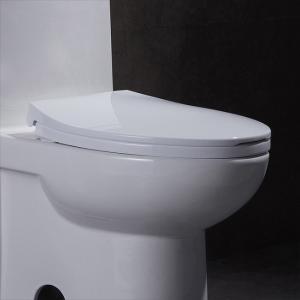 Quality Elongated Siphonic One Piece Toilet 10 Rough In Leak Proof Soft Closing wholesale