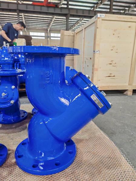 Cast Iron Ductile Iron Y Strainer For Water Steam Oil Flanged End Connection