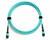 Quality MTP MPO OM3 100gb Fiber Cable 24 Fiber Multimode For Data Center Network wholesale