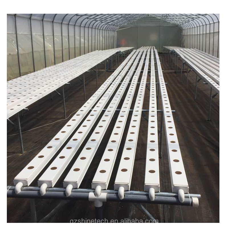 Video Outgoing Inspection Hydroponic Greenhouse For Leafy Green Vegetable Production